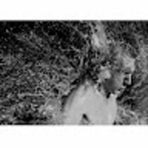 Meet your Posher, Ross